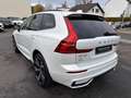 Volvo XC60 T8 AWD Ultimate Dark L. Range Stanh.,360° Weiß - thumbnail 11