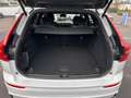 Volvo XC60 T8 AWD Ultimate Dark L. Range Stanh.,360° Weiß - thumbnail 9