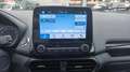 Ford EcoSport 1.0 EcoBoost 100 CV ST-Line NEOPATENTATO Grigio - thumbnail 8