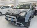 Fiat Panda Panda Cross 1.0 FireFly S&S Hybrid Gris - thumbnail 13