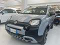 Fiat Panda Panda Cross 1.0 FireFly S&S Hybrid Gris - thumbnail 15