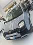 Fiat Panda Panda Cross 1.0 FireFly S&S Hybrid Gris - thumbnail 12