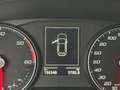 SEAT Ibiza 1.6 tdi 95cv dsg NEOPATENTATI Blanc - thumbnail 12