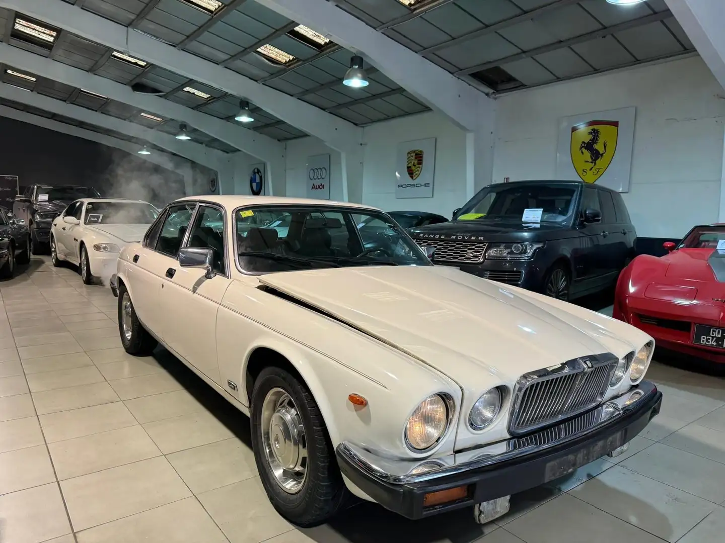 Jaguar XJ6 Blanc - 1