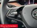 Skoda Enyaq 80 ecoSuite AHK PANO WP MATRIX HuD Blau - thumbnail 39