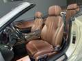 BMW 640 640d  Xdrive Cabrio Futura FULL OPTIONAL - thumbnail 11