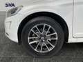 Volvo XC60 2.0 d4 181CV Autom. Momentum Bianco - thumbnail 6