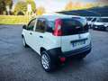 Fiat Panda VAN AUTOCARRO natural power 85cv 2 POSTI Bianco - thumbnail 6