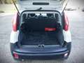 Fiat Panda VAN AUTOCARRO natural power 85cv 2 POSTI Bianco - thumbnail 11