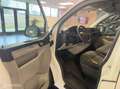 Volkswagen T6 Transporter 2.0 TDI L2H1 204PK! DSG Blanc - thumbnail 19