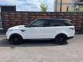 Land Rover Range Rover Sport 3.0 TDV6 HSE Dynamic PANO NAVI Blanc - thumbnail 4