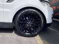 Land Rover Range Rover Sport 3.0 TDV6 HSE Dynamic PANO NAVI Blanc - thumbnail 8