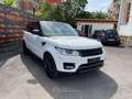 Land Rover Range Rover Sport 3.0 TDV6 HSE Dynamic PANO NAVI Blanc - thumbnail 3