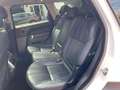 Land Rover Range Rover Sport 3.0 TDV6 HSE Dynamic PANO NAVI Blanc - thumbnail 11