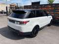 Land Rover Range Rover Sport 3.0 TDV6 HSE Dynamic PANO NAVI Blanc - thumbnail 5