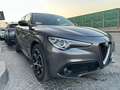 Alfa Romeo Stelvio Stelvio 2.2 t Ti Q4 210cv auto Grau - thumbnail 3