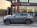 Alfa Romeo Stelvio Stelvio 2.2 t Ti Q4 210cv auto Grigio - thumbnail 6