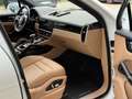 Porsche Cayenne E-HYBRID SPORTDESIGN/360/PSCB/HEADUP/SOFTCLOSE Weiß - thumbnail 23