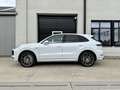 Porsche Cayenne E-HYBRID SPORTDESIGN/360/PSCB/HEADUP/SOFTCLOSE Weiß - thumbnail 5