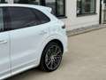 Porsche Cayenne E-HYBRID SPORTDESIGN/360/PSCB/HEADUP/SOFTCLOSE Weiß - thumbnail 9
