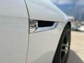 Jaguar F-Type F-Type Convertible 3.0 V6 Aut. 340 Blanco - thumbnail 5