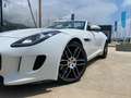 Jaguar F-Type F-Type Convertible 3.0 V6 Aut. 340 Blanco - thumbnail 8