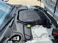 Jaguar F-Type F-Type Convertible 3.0 V6 Aut. 340 Blanco - thumbnail 18