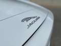 Jaguar F-Type F-Type Convertible 3.0 V6 Aut. 340 Blanco - thumbnail 22