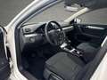 Volkswagen Passat Variant 1.6 TDI /Navi/Kamera/AHK/SHZ Weiß - thumbnail 10