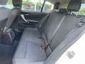 BMW 116 d 5p. Urban Bianco - thumbnail 12