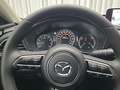 Mazda CX-30 2.5L  G140 6AT 2WD EXCLUSIVE - LINE Blau - thumbnail 14