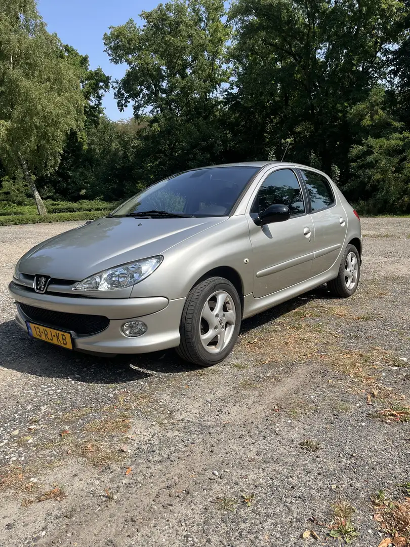 Peugeot 206 1.6-16V Griffe 5D 109pk Grijs - 1