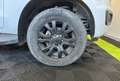 Ford Ranger 2.0 EcoBlue 16V Pickup Super Cabine Phase 3 4x4 BVA (Pas de TVA récupérable) Weiß - thumbnail 20