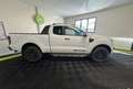 Ford Ranger 2.0 EcoBlue 16V Pickup Super Cabine Phase 3 4x4 BVA Blanc - thumbnail 6
