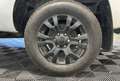 Ford Ranger 2.0 EcoBlue 16V Pickup Super Cabine Phase 3 4x4 BVA (Pas de TVA récupérable) Weiß - thumbnail 23