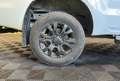 Ford Ranger 2.0 EcoBlue 16V Pickup Super Cabine Phase 3 4x4 BVA (Pas de TVA récupérable) Weiß - thumbnail 21