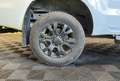 Ford Ranger 2.0 EcoBlue 16V Pickup Super Cabine Phase 3 4x4 BVA Blanc - thumbnail 21