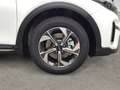 Kia XCeed /SILBER/1.0 TGDI/MT6/120 Weiß - thumbnail 17