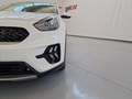 Kia Niro 1.6 HEV Drive Blanco - thumbnail 11