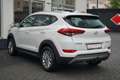 Hyundai TUCSON 1.6 Style Klimaaut. Navi Kamera DAB AHK Blanc - thumbnail 5