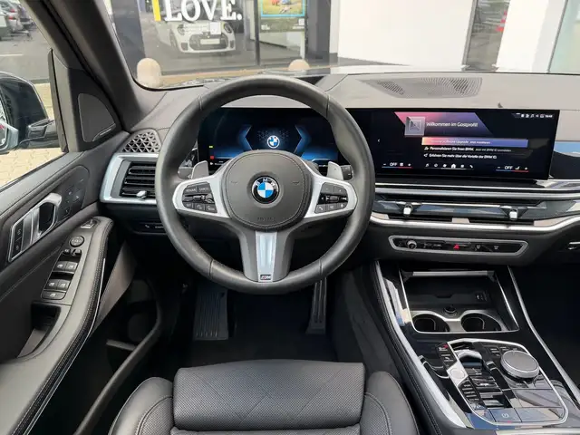 BMW X5 X5 view 6