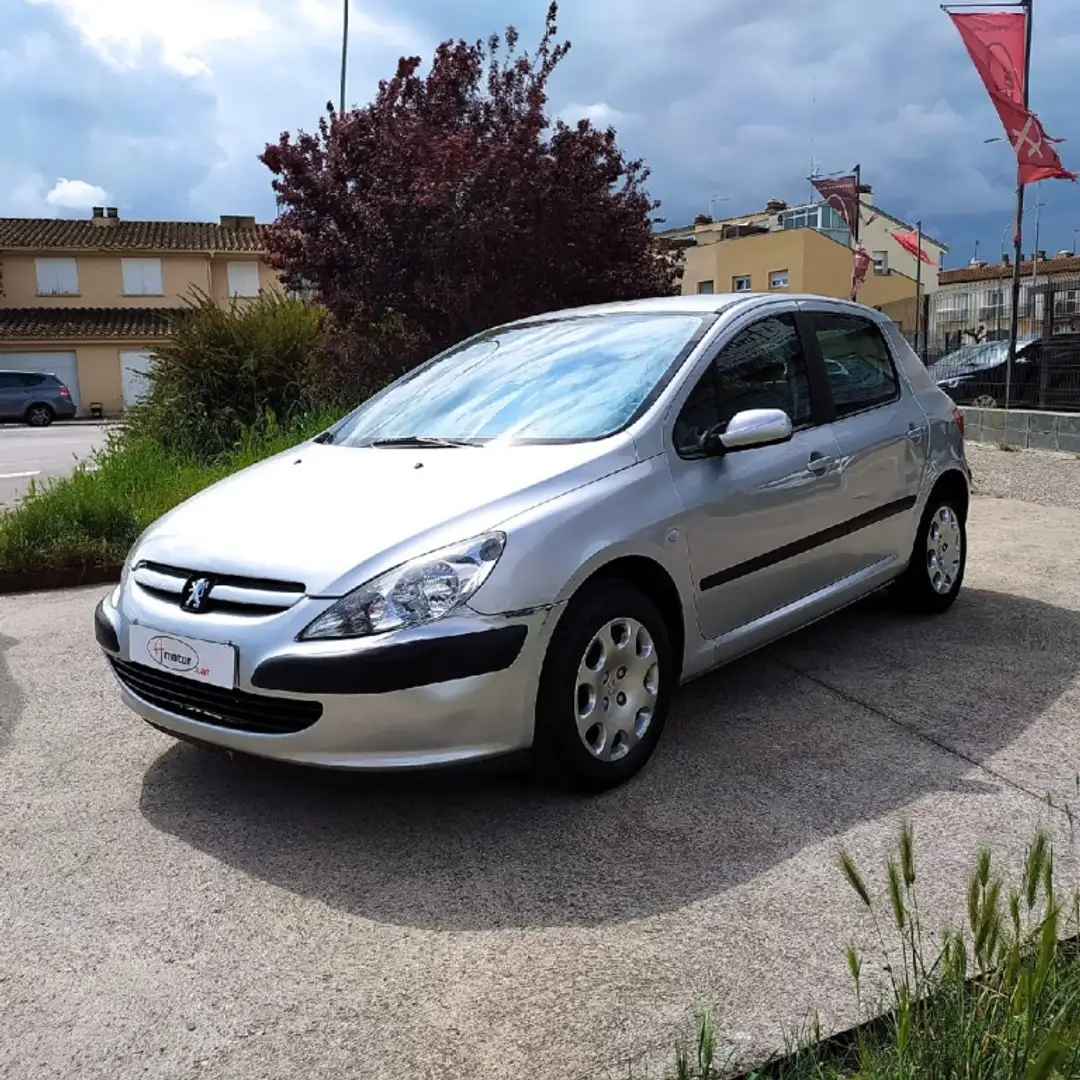 Peugeot 307 SW 2.0HDI 90 Gris - 1