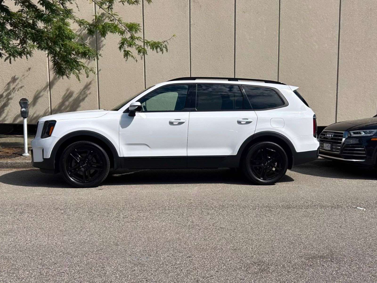 2024 Kia Telluride X-Line — снимка 1