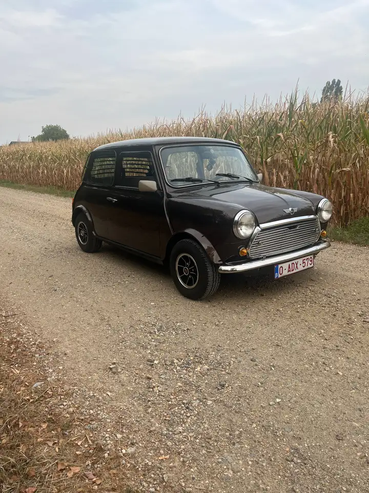 MINI 1000, foto 2