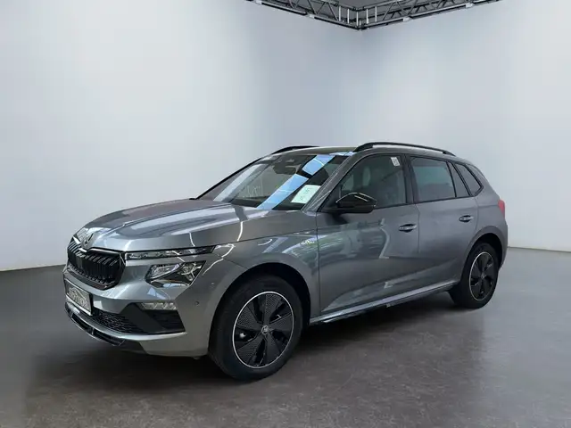 Skoda Kamiq view 2