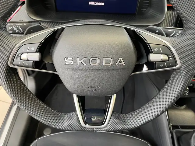 Skoda Kamiq view 17