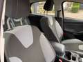 Ford Focus 1.6 TI-VCT TREND SPORT 125PK / AIRCO / CRUISE CTR. Bleu - thumbnail 8