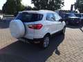 Ford EcoSport 1.5 110 CV Business Wit - thumbnail 5