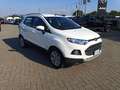 Ford EcoSport 1.5 110 CV Business Wit - thumbnail 3