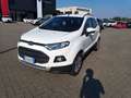 Ford EcoSport 1.5 110 CV Business Wit - thumbnail 1